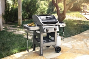 SPIRIT II E210 GBS